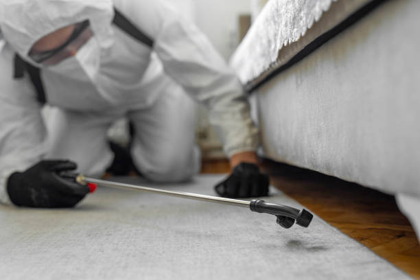 Professional Cockroach Control technician working in Kenosha, WI