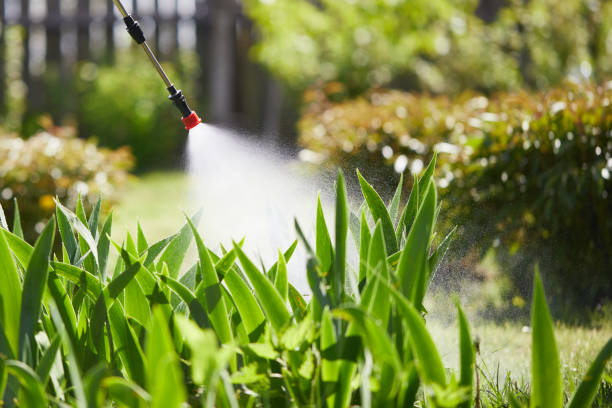 24/7 Emergency Cockroach Control experts in Kenosha, WI